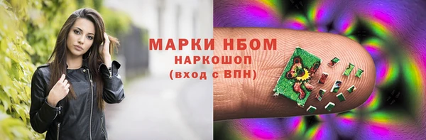 шишки Дмитров