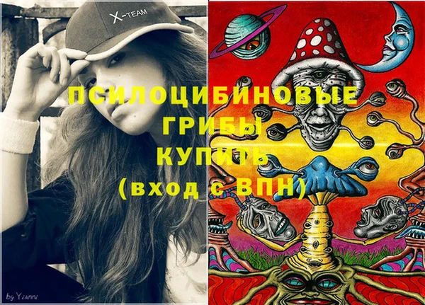гидропоника Белокуриха