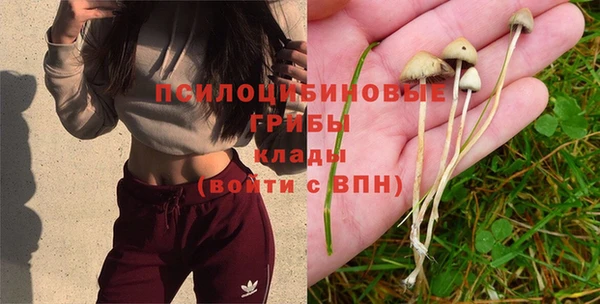 mdma Дмитровск