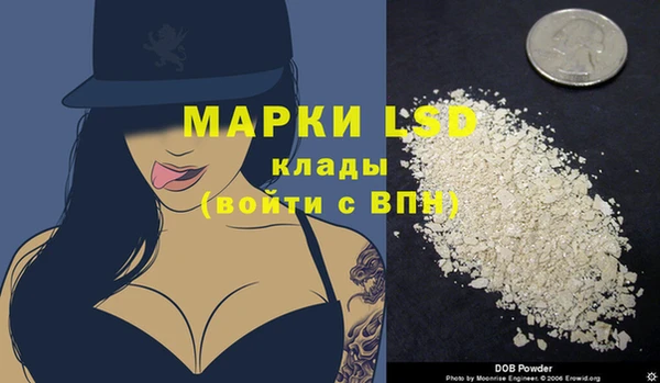 гидропоника Белокуриха