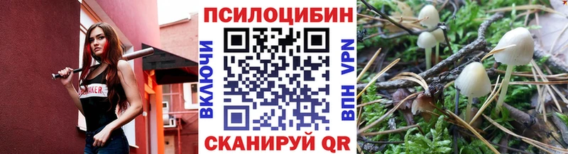 darknet официальный сайт где найти наркотики Воскресенск Псилоцибиновые грибы Psilocybine cubensis